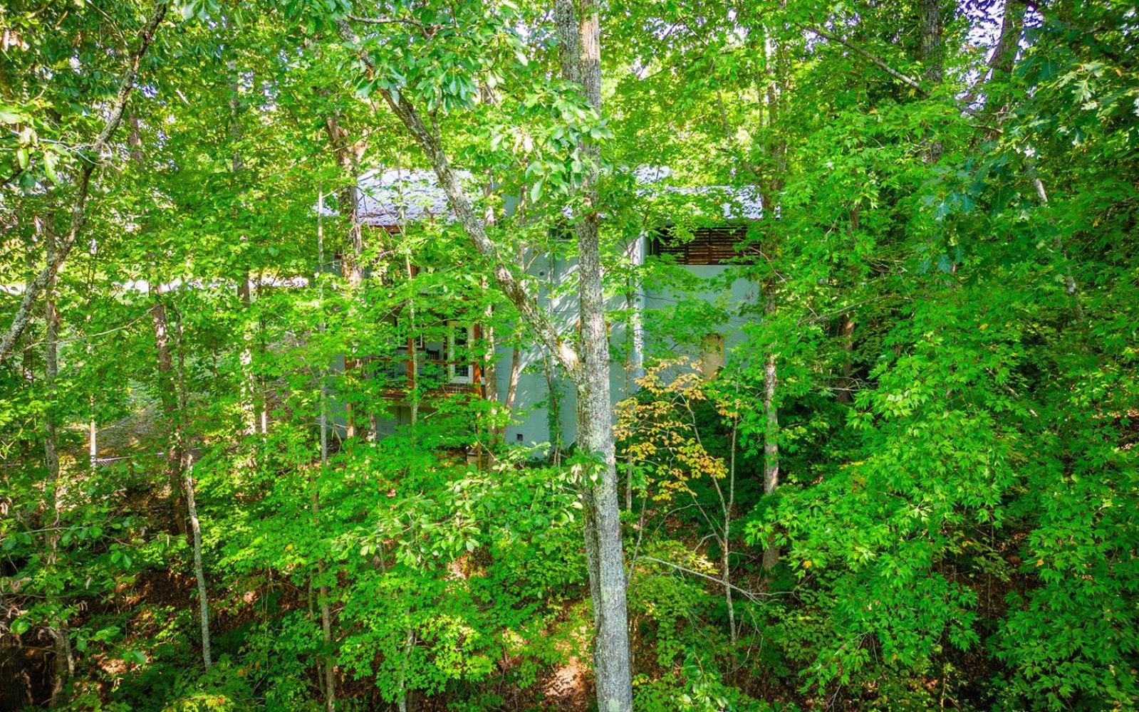Dollys Getaway Villa Sevierville Buitenkant foto